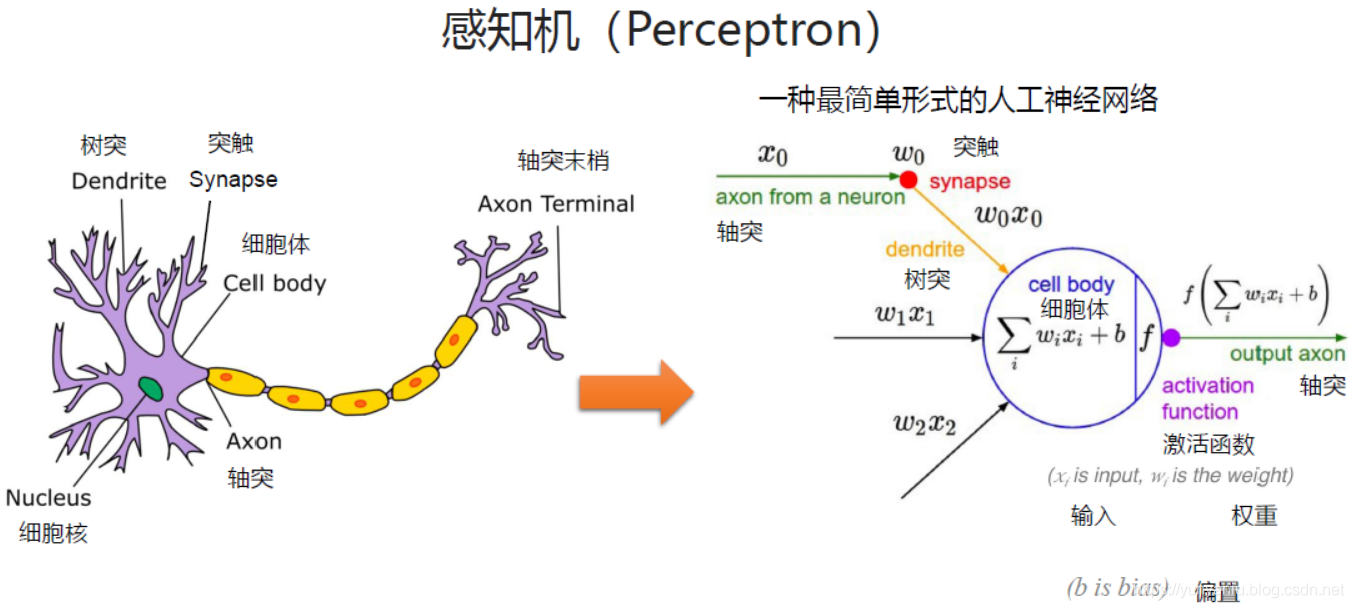 dl之perceptron:perceptron感知器(感知机/多层感知机/人工神经元)的