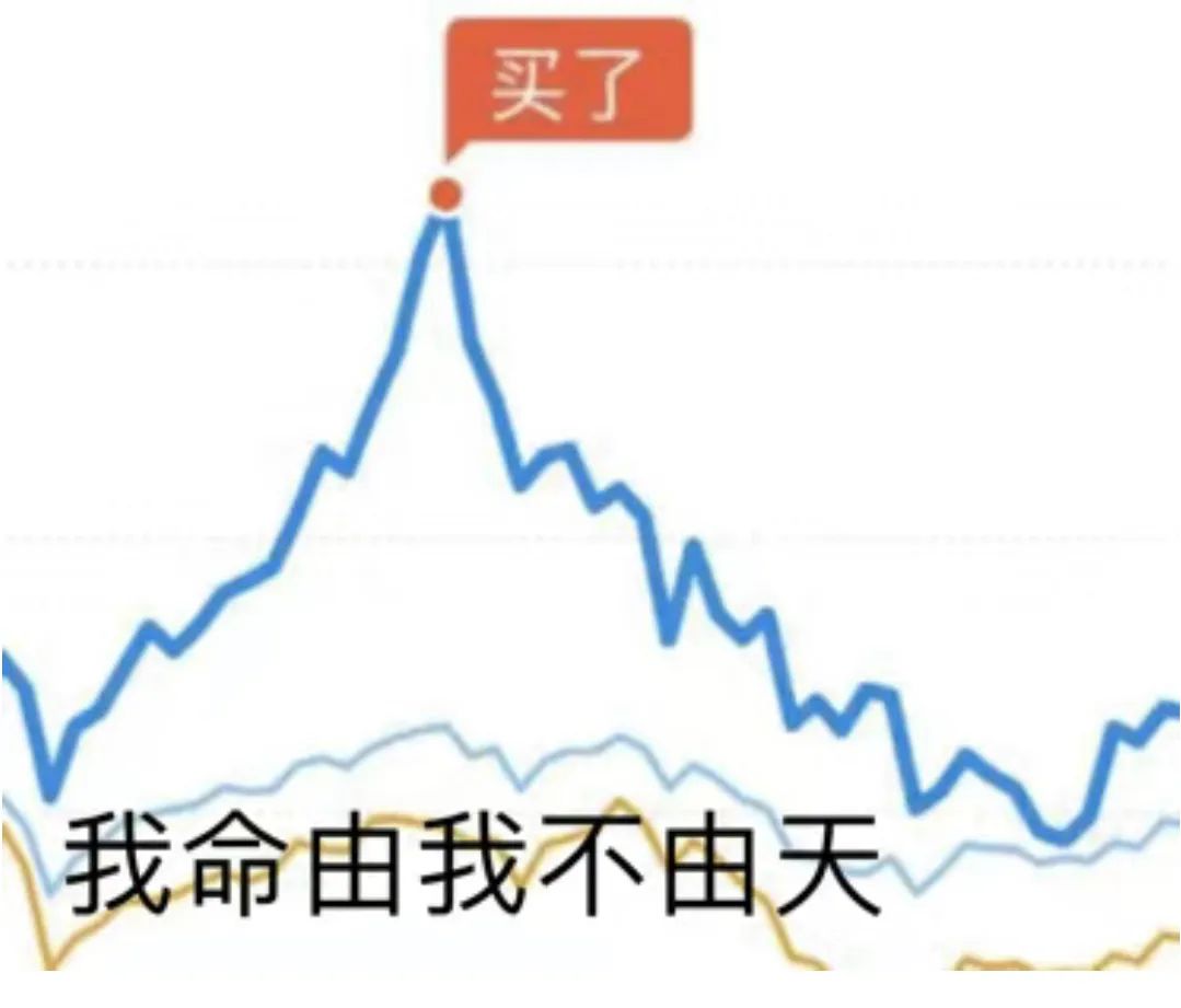 韭菜盒子vscode 里也可以看股票 基金实时数据,做最好用的投资插件.