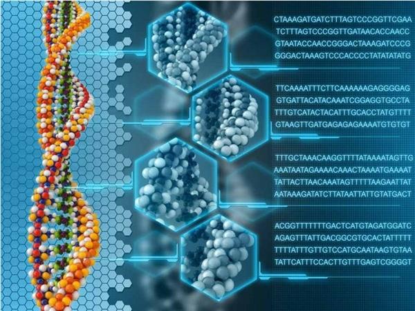 1克DNA干掉4T硬盘 存储新革命？