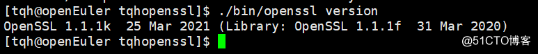 树莓派OpenSSL安装和环境配置_环境配置_11
