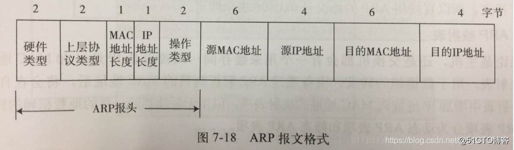 ARP协议_mac地址_03