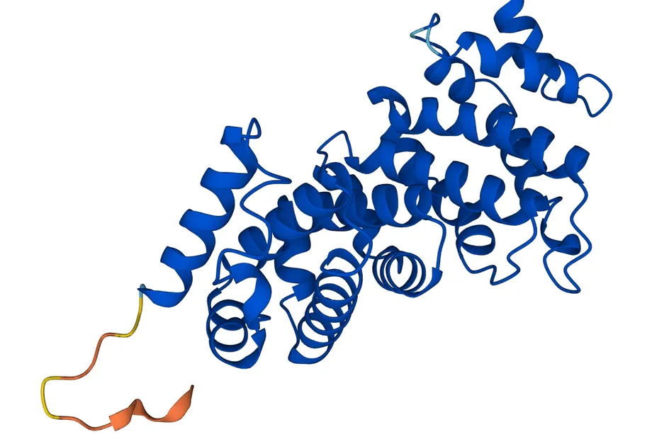 Protein_CCR4_NOT_transcription__complex_subunit_9.0.webp