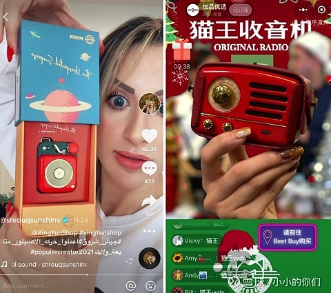 DTC品牌出海|让中国品牌玩转TikTok 行云集团斩获最佳TSP