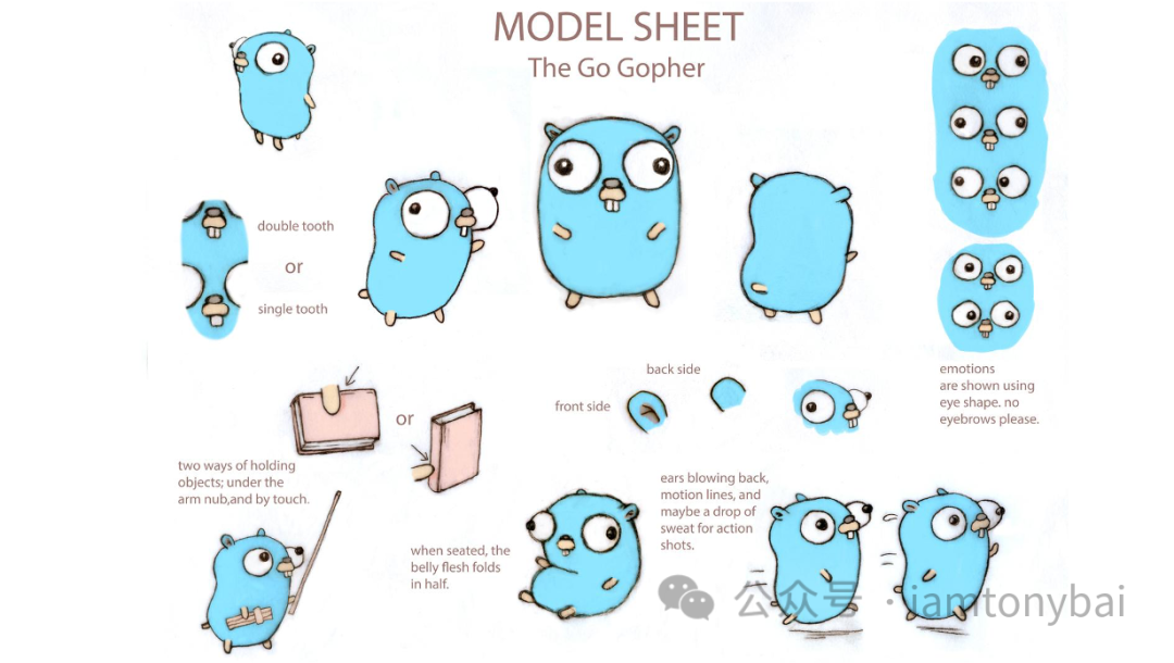 Gopher model sheet