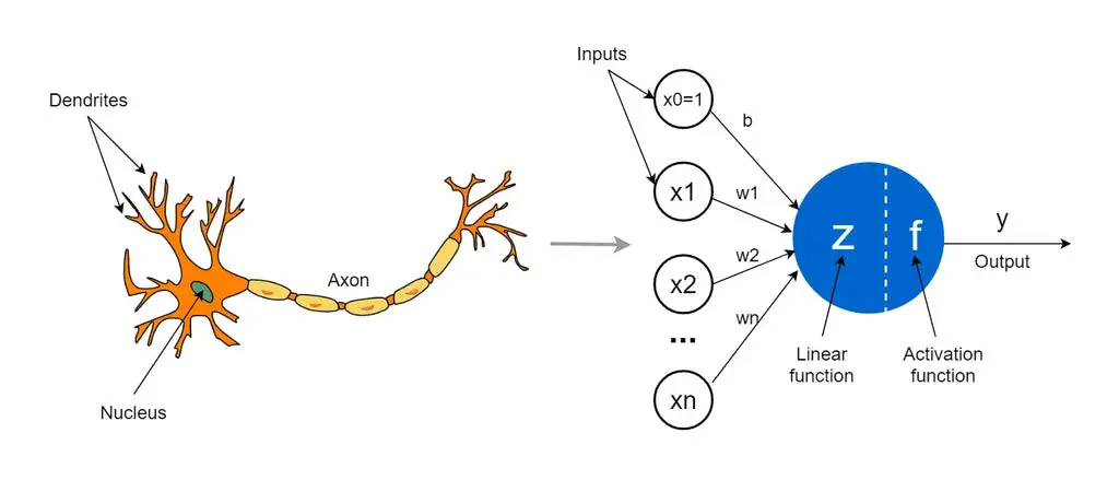 一文彻底搞懂深度学习 - 感知机（perceptron）-AI.x社区