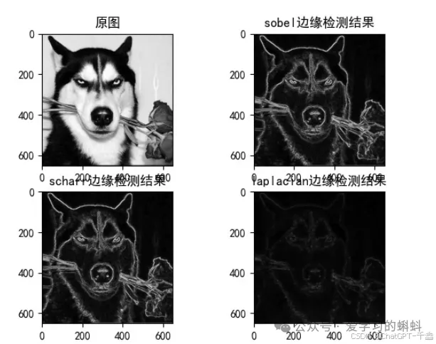 从零开始掌握OpenCV：Python图像处理最详细入门教程（实战代码全解析）-AI.x社区